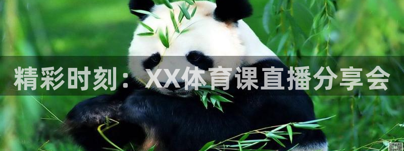 雨燕体育直播178：精彩时刻：XX体育课直播分享会