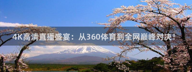 360体育在线雨燕直播：4K高清直播盛宴：从360体育到全网巅峰对决！