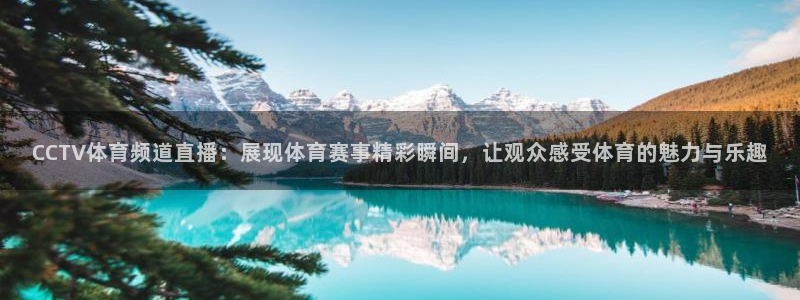 雨燕体育赛事在线直播下载：CCTV体育频道直播：展现体育赛事精彩瞬间，让观众感受体育的魅力与乐趣