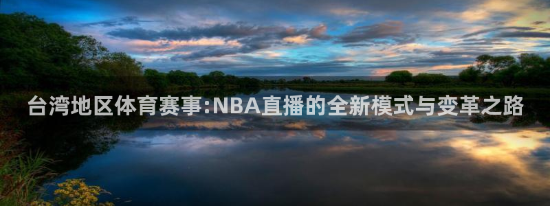 雨燕视频直播nba：台湾地区体育赛事:NBA直播的全新模式与变革之路