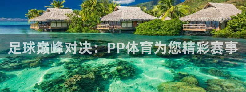 360足球直播视频雨燕：足球巅峰对决：PP体育为您精彩赛事