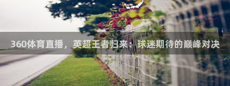雨燕直播免费足球直播：360体育直播，英超王者归来：球迷期待的巅峰对决