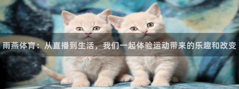 雨燕体育直播下载：雨燕体育：从直播到生活，我们一起体验运动带来的乐趣和改变