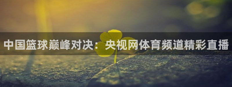 雨燕体育直播在线直播：中国篮球巅峰对决：央视网体育频道精彩直播